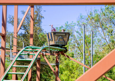 Attrazione Wild Mine