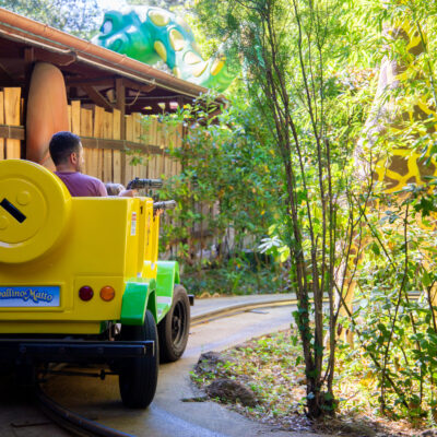 Fotografia della Jeep all'interno del Safari Adventure