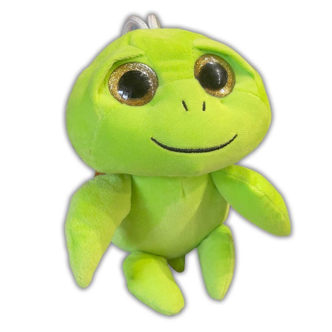 Tartaruga