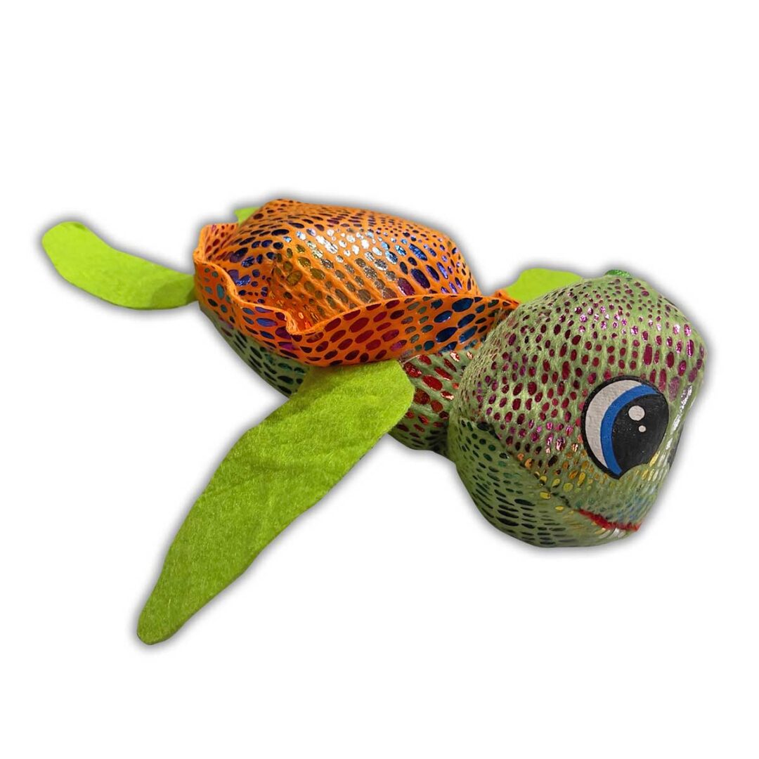 Tartaruga colorata - immagine 2