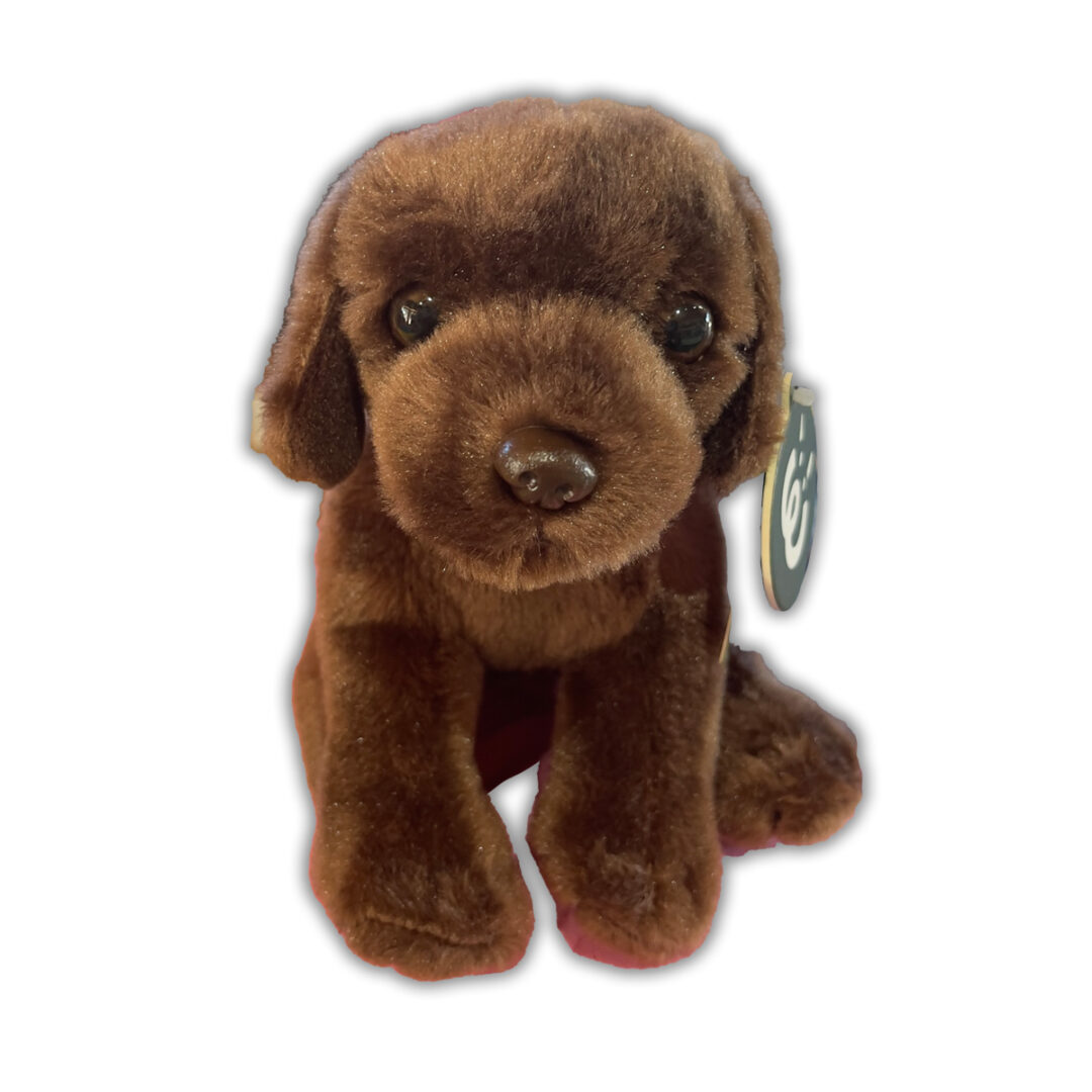 Labrador