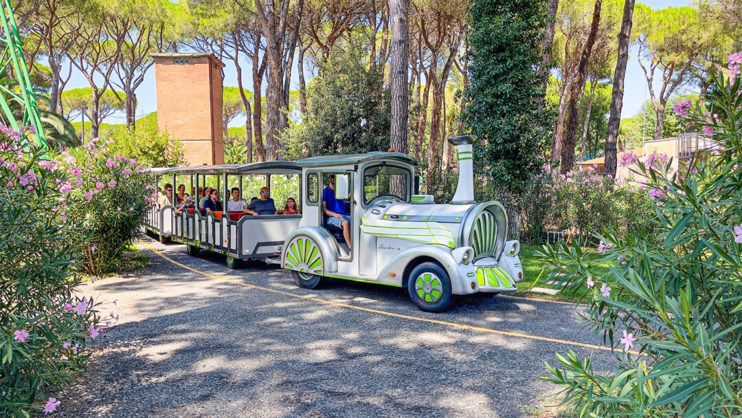 Trenino - immagine 2