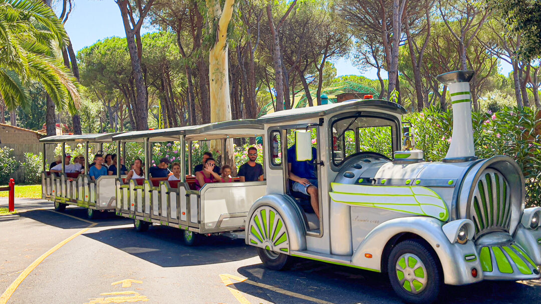 Trenino - immagine 3